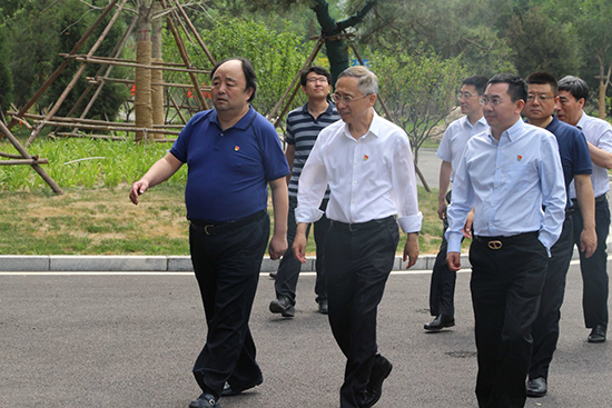 北京市副市长杨斌调研豪利777官网通州项目